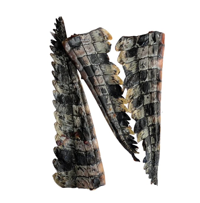 Crocodile Tails 100gm