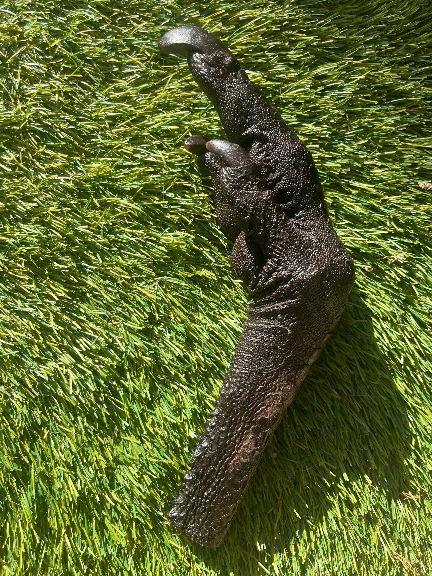 Emu Foot