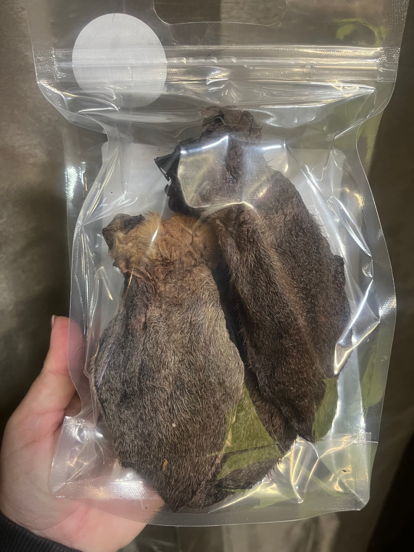 Roo Ears Multipack