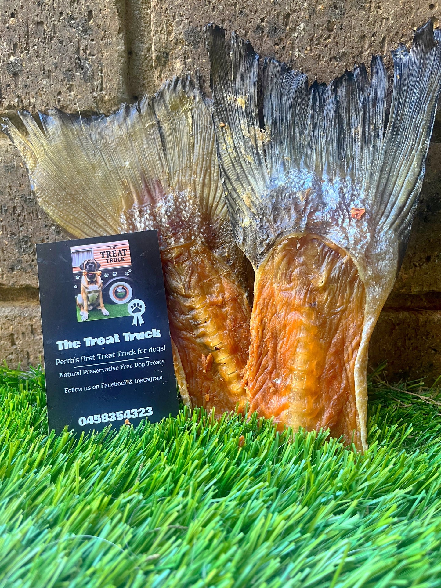 Salmon Tails ( 2 pack )