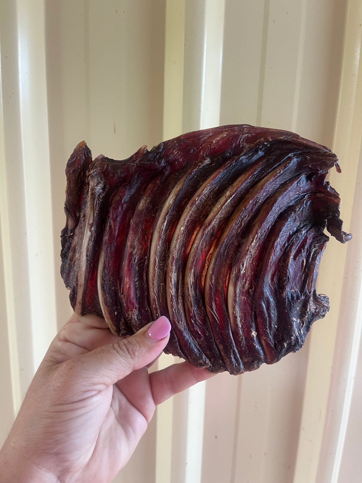Mini Roo Rib