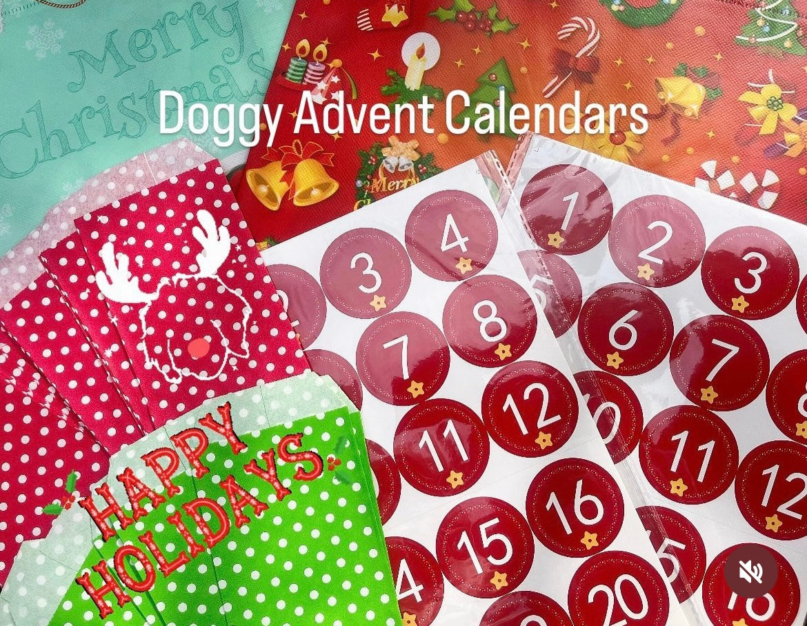 Xmas Advent Calendar ( Pre Order 🎄)