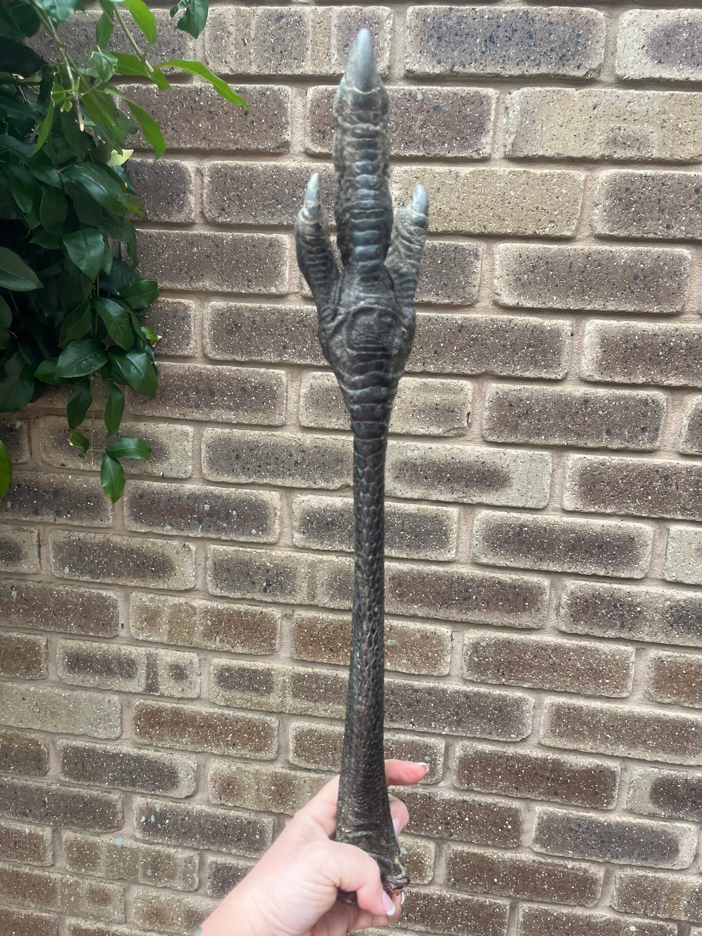 FRESH EMU LEG