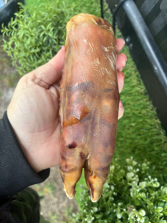 Pig Trotter