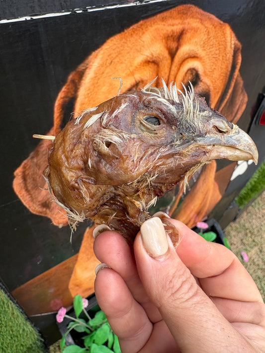 Chicken head