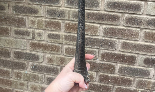 Emu Leg