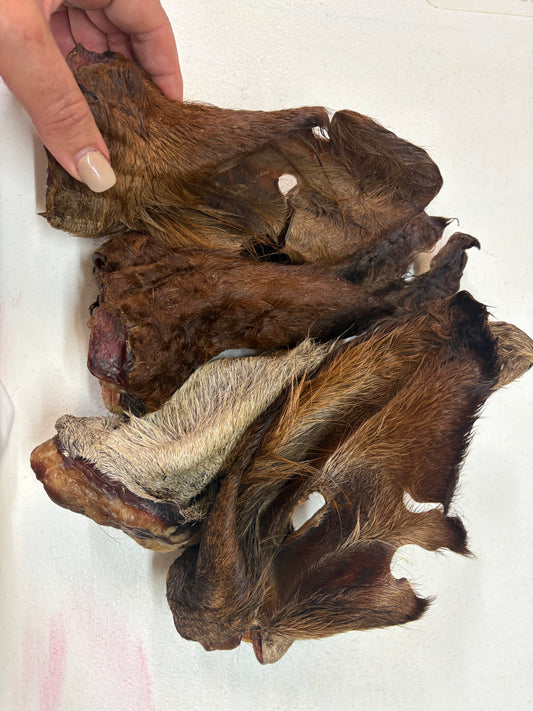 Beef ear 4 packs ( undersized)